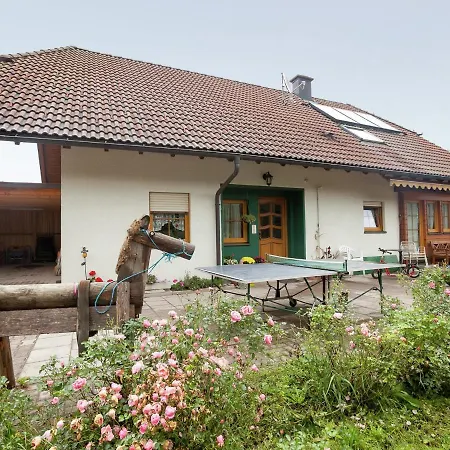 Modern In Near The Forest