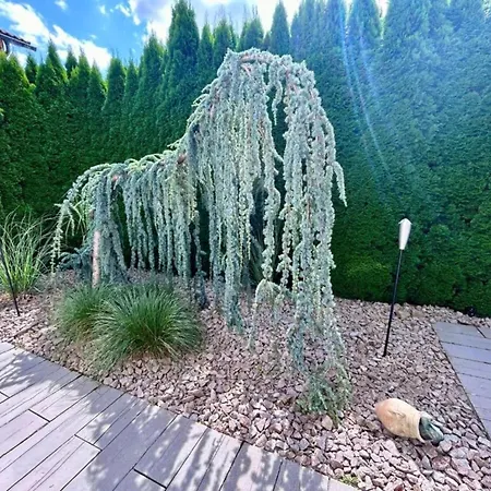 Apartman Modern In Near The Forest